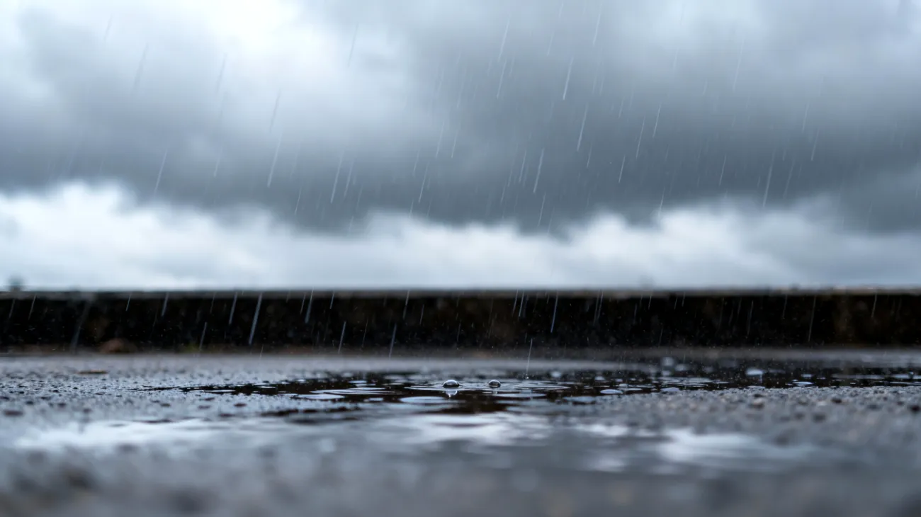Meteo"